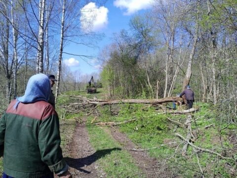 В Андреапольском округе прошла расчистка кладбища Новости Твери 