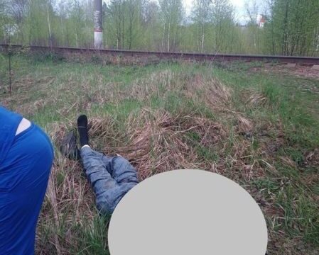 В Тверской области мужчина получил серьезные травмы, попав под электричку Новости Твери 