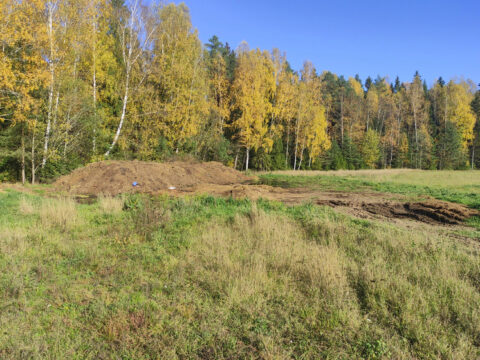 В Тверской области сваленный у леса навоз нанес ущерб на 2,5 миллиона рублей Новости Твери 