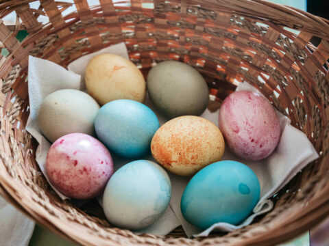 Как покрасить яйца к Пасхе-2024: необычные способы Новости Твери 