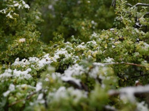 Любите снег в начале мая: в Тверской области продолжается зима Новости Твери 