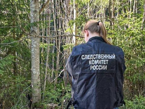 У поселка в Тверской области обнаружили человеческие останки Новости Твери 