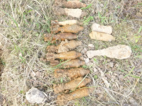 В Тверской области нашли 5 артиллерийских снарядов и 12 минометных мин Новости Твери 